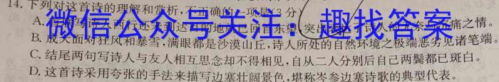 2023年普通高等学校招生统一考试青桐鸣高三4月大联考语文