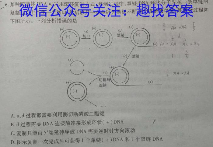 2023年广东大联考高三年级4月联考（478C·G DONG）生物试卷答案
