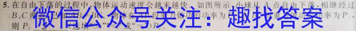 天利38套河北省2023年初中毕业生升学文化课考试押题卷(四)物理.