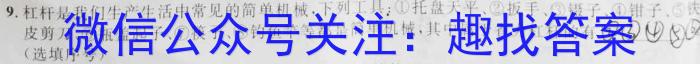 安徽省2023年初中毕业学业考试模拟试卷物理`