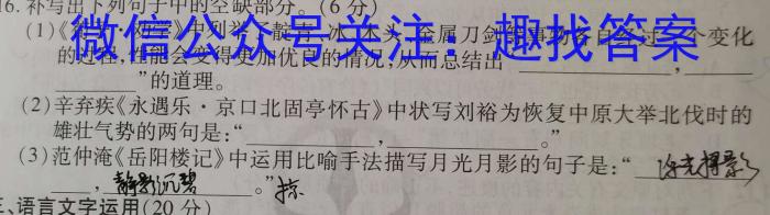 新疆克州2023年高三年级第一次学业水平监测语文