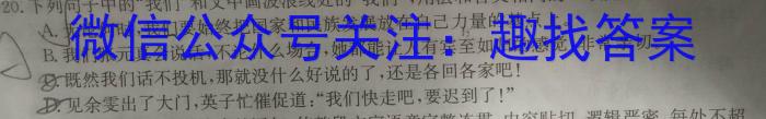 江西省吉安市2023年初中学业水平考试模拟卷语文