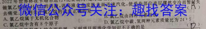 2023年安徽省初中毕业学业考试模拟仿真试卷（四）化学