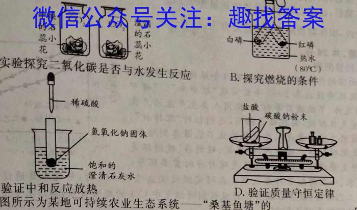 江西省2025届七年级第六次阶段适应性评估【R-PGZX A JX】化学