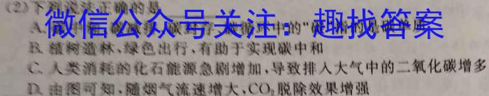 2023年陕西省初中学业水平考试·全真模拟（三）B卷化学