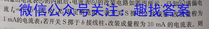 耀正文化(湖南四大名校联合编审)·2023届名校名师模拟卷(八)物理`