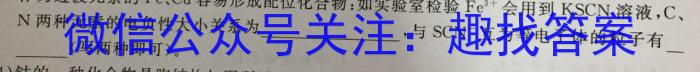 2023年山西初中学业水平考试·诊断卷（二）化学