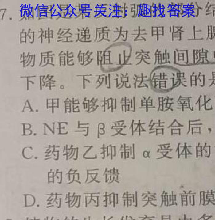 天一大联考2022-2023学年(下)高二年级期中考试生物