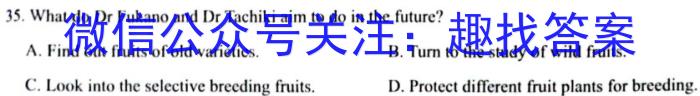 安师联盟2023年中考权威预测模拟考试（六）英语试题