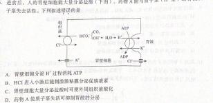 武汉市2023届高中毕业生四月调研考试生物