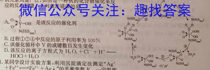 河南省新乡市长垣市2023年九年级学业水平模拟测评化学
