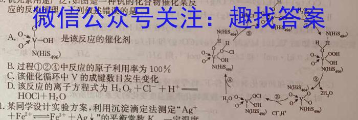 陕西省2023年第五次中考模拟考试练*化学