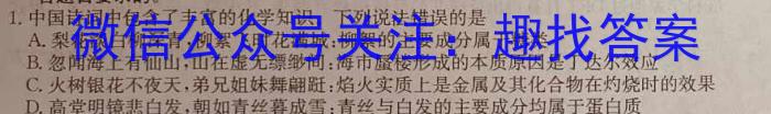 2023年陕西省初中学业水平考试·全真模拟（四）A卷化学