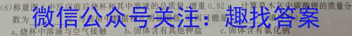 2023年咸阳市渭城区中考模拟检测(一)化学