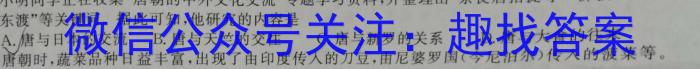 青桐鸣高考冲刺2023年普通高等学校招生全国统一考试冲刺卷(二)&政治