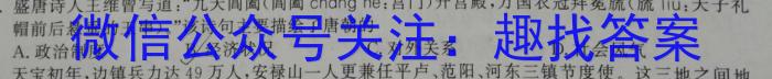 2023届九师联盟高三年级3月质量检测（新高考-G）历史试卷