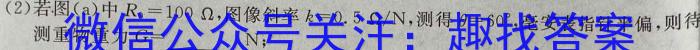 【二轮模拟】中考导航总复习·模拟·冲刺卷（二）f物理