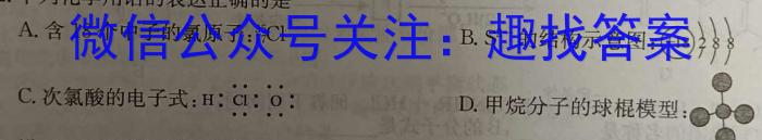 2023年陕西省初中学业水平考试全真模拟（四）A卷化学