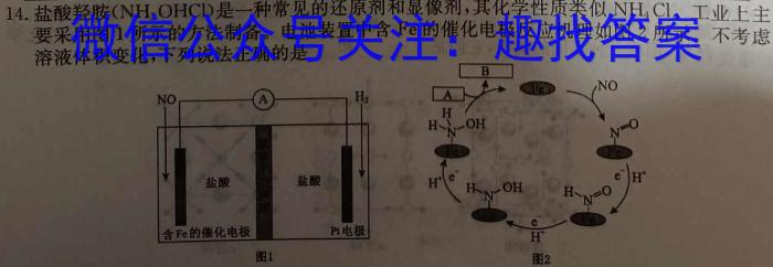 2023年山东新高考联合质量测评高三年级3月联考化学