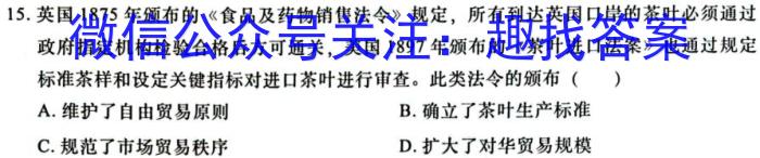 2022-023学年安徽省九年级下学期阶段性质量检测（六）历史试卷
