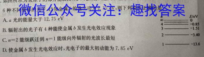 2023年陕西省初中学业水平考试全真模拟（三）C版f物理