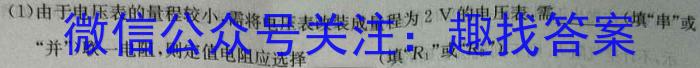 山西省实验中学2022-2023学年第二学期期中质量监测（卷）物理.