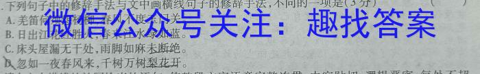 2023年湖南大联考高三年级4月联考语文