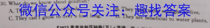 2023年湖南省普通高中学业水平合格性考试仿真试卷(专家版四)英语