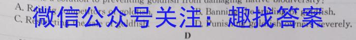 名校大联考2024~2023学年度高三第七次联考英语