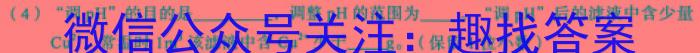 衡中文化2023年衡水新坐标·信息卷(六)化学