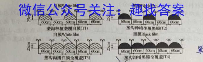 2023普通高校招生全国统一考试·全真冲刺卷(六)l地理