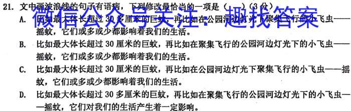 陕西省2023年初中学业水平考试模拟试题（一）语文