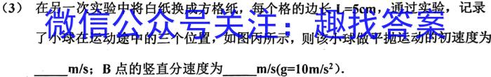 江西省2023届九年级中考模拟卷（二）物理.