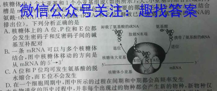 金科大联考2022-2023学年高三3月质量检测（3236C）生物试卷答案