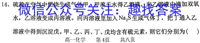 2023年河南决胜中招模拟试卷（二）化学