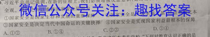 安徽省2023届九年级下学期教学评价二（期中）s地理