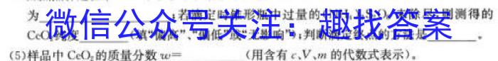 安徽省2023年九年级检测二化学