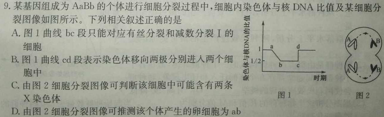 2023年陕西省西安市高三年级4月联考（○）生物
