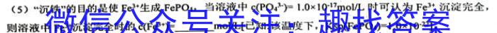 广西省2023年春季学期高一期中检测（23-394A）化学