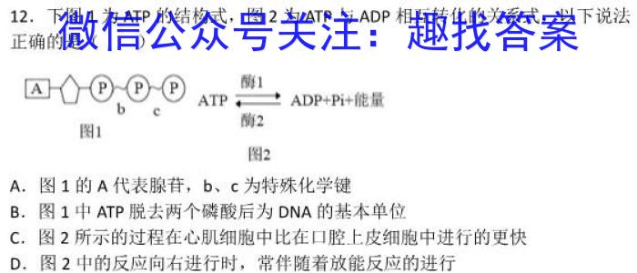 大联考海南省2022-2023学年高考全真模拟（六）生物试卷答案