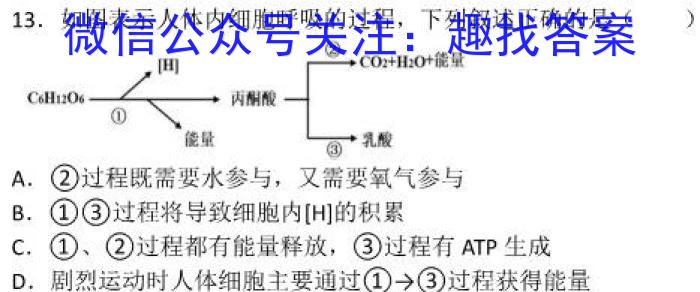 2023年湖北省新高考信息卷(五)生物