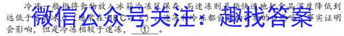 江西省2023届九年级江西中考总复习模拟卷（四）语文