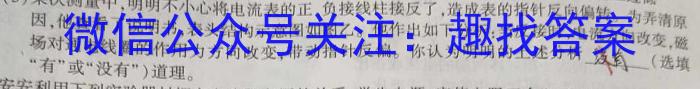 2023年陕西省初中学业水平考试全真预测试卷A版（三）l物理