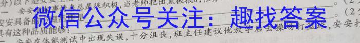 2023年九师联盟高三年级4月质量检测（X）地.理