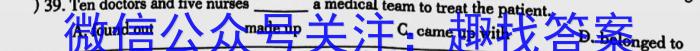 江淮教育联盟2023年春季九年级第一次联考英语