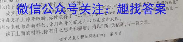 2023年九师联盟高三年级4月质量检测（L）语文