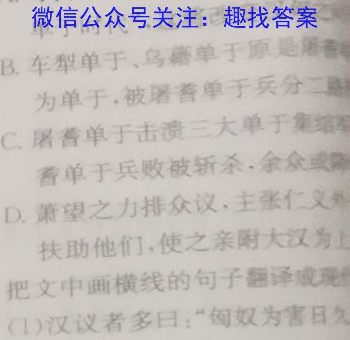 2022~2023学年金科大联考高三4月质量检测语文