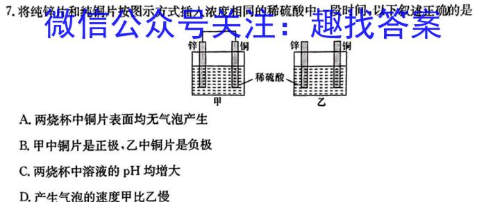 2023年陕西省初中学业水平考试模拟卷（A版）化学