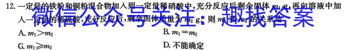 大联考海南省2024-2023学年高考全真模拟（六）化学