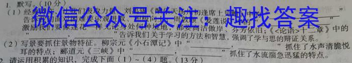 江西省萍乡市2023年九年级学业水平模拟考试语文